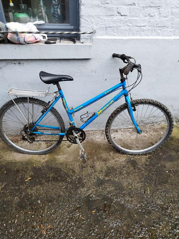 VTT mixte avec porte bagages, Vélos & Vélomoteurs, Cyclomoteurs | Marques Autre, Enlèvement ou Envoi