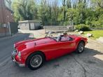 MG  MGA, Auto's, MG, 4 cilinders, 1600 cc, Leder, Particulier