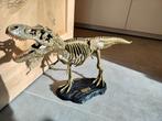 Tyrannosaurus skelet in kunststof, Verzamelen, Ophalen, Zo goed als nieuw