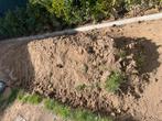 Gratis aarde/aanvulgrond/grond, Ophalen, Tuinaarde