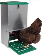 kippen Voerbak, Dieren en Toebehoren