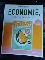 Economie, wat doe je ermee?, Boeken, Ophalen of Verzenden, Zo goed als nieuw