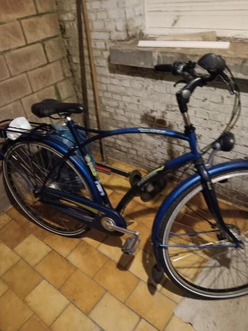 Here Fiers gazelle ! beschikbaar voor biedingen