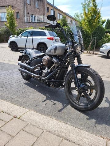 Harley Davidson FXBBS Street Bob 114 ci , 2024 met 800 km  beschikbaar voor biedingen