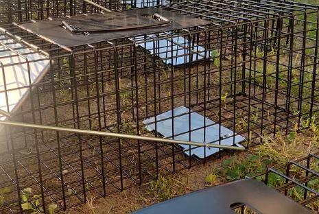 Cage de piège universelle -25, Jardin & Terrasse, Pesticides, Neuf, Autres types, Enlèvement ou Envoi