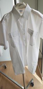 Cinq pièces (deux chemises blanches) /deux t-shirts de marqu, Vêtements | Hommes, T-shirts, Comme neuf, Enlèvement ou Envoi, Made in Italie
