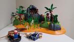 Playmobil Avontuurlijk Schatteneiland - 5134, Kinderen en Baby's, Speelgoed | Playmobil, Ophalen, Zo goed als nieuw, Complete set