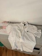 Chemise Lyle and scott, Ophalen of Verzenden, Zo goed als nieuw
