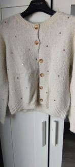 glitter gilet, Ophalen of Verzenden, Nieuw, Maat 38/40 (M), Beige