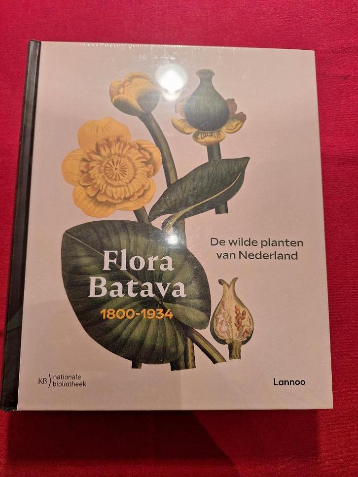 Boek flora Batavia., Boeken, Natuur, Nieuw, Bloemen, Planten en Bomen, Ophalen of Verzenden