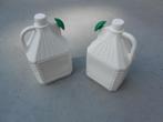 gieter 5 liter - plastik bussen van 5 liter met sproeikop, Tuin en Terras, Ophalen of Verzenden, Gebruikt, Kunststof