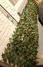 Klimop muur, Ophalen