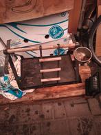 Vogels, Dieren en Toebehoren, Ophalen of Verzenden