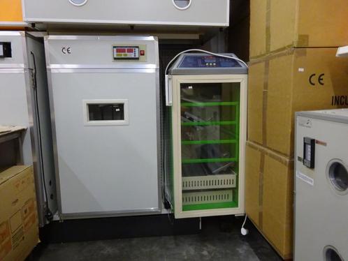 BROEDMACHINES VAN 10 KIP TOT 48 STRUISVOGEL EI, Dieren en Toebehoren, Pluimvee, Kip