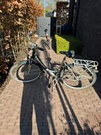 Damesfiets Oxford, Versnellingen, Ophalen, Overige merken, 53 tot 56 cm