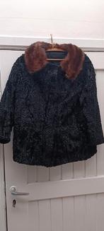 Manteau en fourrure d'agneau avec col en vison, comprenant c, Vêtements | Femmes, Noir, Porté, Enlèvement ou Envoi
