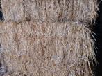 Grote balen  stro te koop, Dieren en Toebehoren, Ophalen