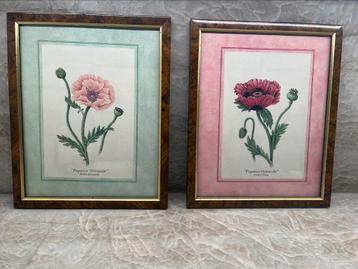 Cadres à fleur  beschikbaar voor biedingen