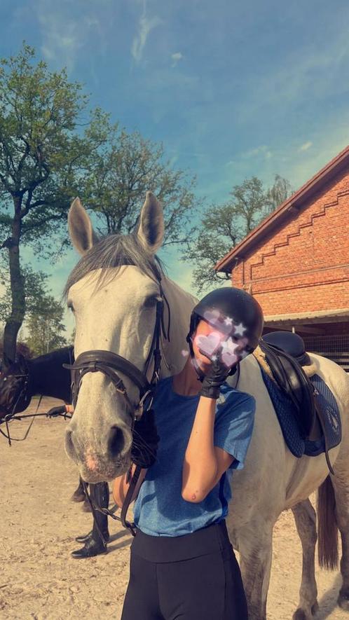 Verzorgpaardje gezocht!, Dieren en Toebehoren, Paarden en Pony's | Zadels, Ophalen of Verzenden
