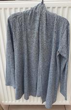 Grije vest maat S, Kleding | Dames, Truien en Vesten, Ophalen of Verzenden, Gedragen, Maat 36 (S), Grijs