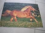 Puzzel met de foto van een paard - 100 stukjes; + 6 jaar, Enlèvement ou Envoi, Plus de 50 pièces, Neuf, 6 ans ou plus