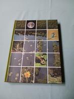 Artis Historia "De Lente"., Livres, Nature, Enlèvement ou Envoi, Nature en général, Edgar Kesteloot