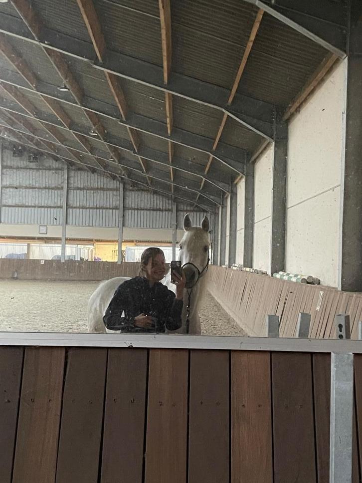 Trainingsplaatsen paard op locatie, Hobby en Vrije tijd, Overige Hobby en Vrije tijd, Ophalen of Verzenden