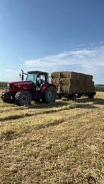 Kleine en grote bale hooi te koop, Dieren en Toebehoren, Ophalen