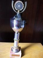 Trophé billard américain Astérix saison 1990., Sport en Fitness, Biljarten en Poolen, Ophalen