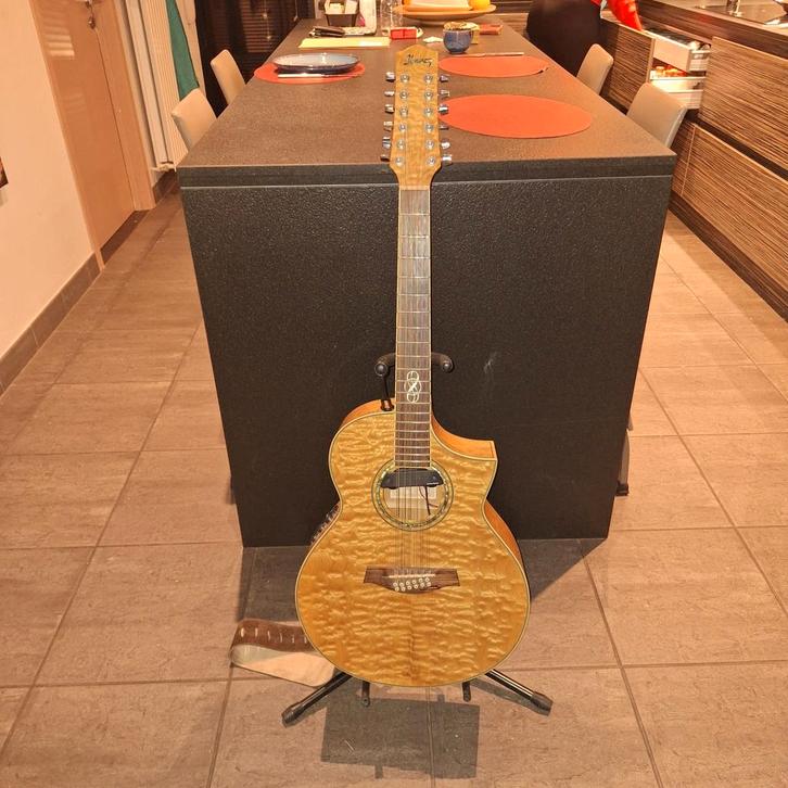 Ibanez 12 string akoestisch-elektrische gitaar, Muziek en Instrumenten, Snaarinstrumenten | Gitaren | Akoestisch, Ophalen
