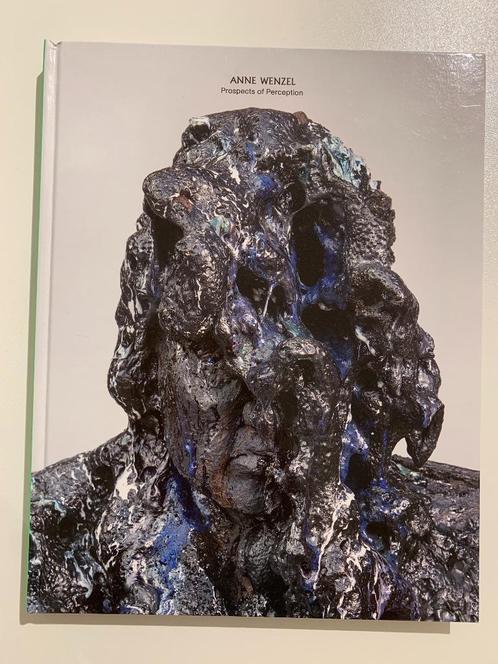 Anne Wenzel, Boeken, Kunst en Cultuur | Beeldend, Zo goed als nieuw, Ophalen of Verzenden