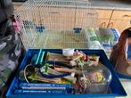 Vogelkooi met accecoires, Dieren en Toebehoren, Vogels | Hokken en Kooien, Ophalen, Zo goed als nieuw, Vogelkooi