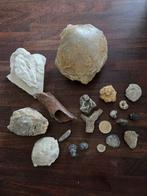 Lot fossielen gemengd, Verzamelen, Ophalen of Verzenden