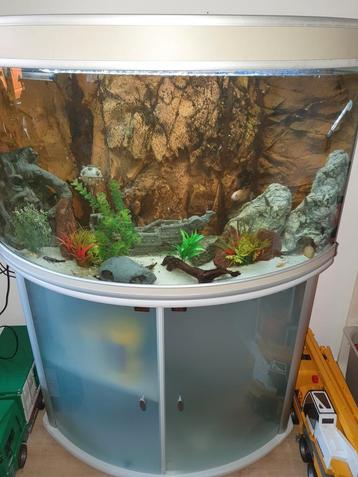  panoramisch aquarium met prachtige achterwand beschikbaar voor biedingen