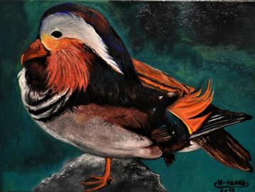 Schilderij met mandarijneend, teken Joky Kamo Mandarin duck 