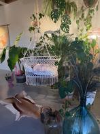 Hangend wiegje, Ophalen, Zo goed als nieuw, Wieg