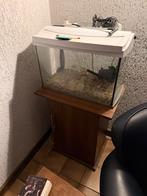 Aquarium, Animaux & Accessoires, Poissons | Aquariums & Accessoires, Enlèvement, Comme neuf