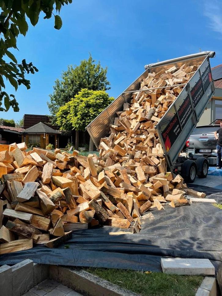 Brandhout en pellets aan huis geleverd, Tuin en Terras, Brandhout, Blokken, Beukenhout, 6 m³ of meer, Ophalen