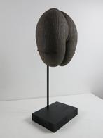Sea Coconut – Coco de Mer 32x 27x17cm + staander, Antiek en Kunst, Ophalen of Verzenden