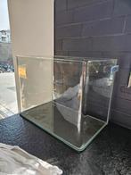 Aquarium met gebogen glas, Dieren en Toebehoren, Ophalen, Zo goed als nieuw