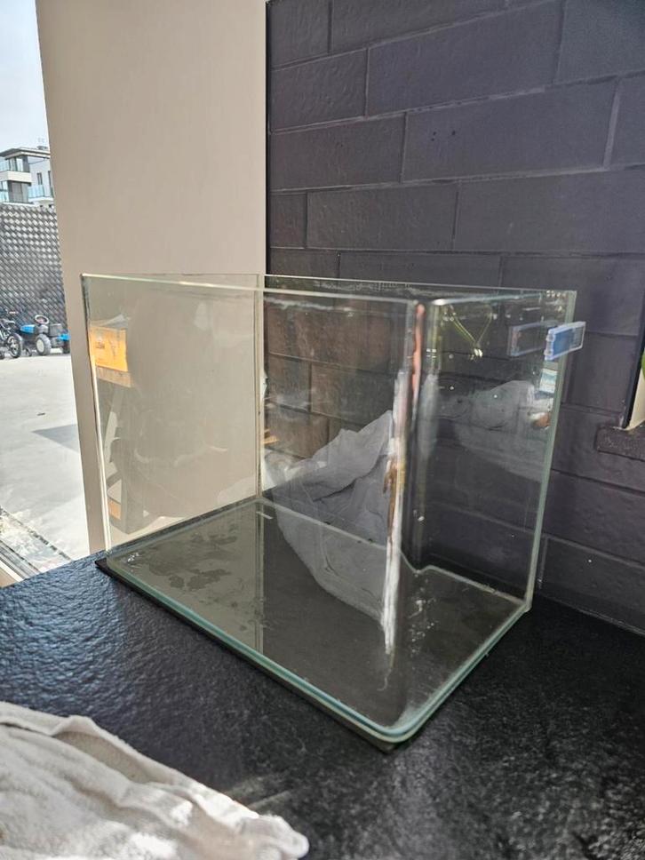 Aquarium met gebogen glas, Dieren en Toebehoren, Vissen | Aquaria en Toebehoren, Zo goed als nieuw, Ophalen
