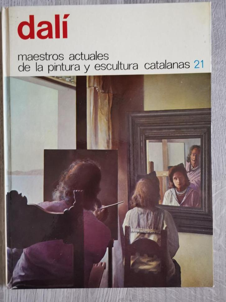 Dali - maestros actuales, Boeken, Kunst en Cultuur | Beeldend, Gelezen, Schilder- en Tekenkunst, Ophalen of Verzenden