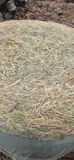 Midi balen hooi te koop, Enlèvement