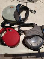 Laisse et pour chiens, Enlèvement, Comme neuf