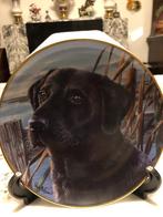 assiette déco motif labrador, Antiek en Kunst, Ophalen