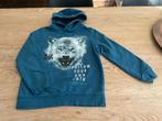 Trui maat 146-152, Kinderen en Baby's, Kinderkleding | Maat 146, Ophalen of Verzenden, Gebruikt, Jongen, Trui of Vest