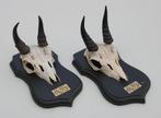 2 x schedel MOUNTAIN REEDBUCK op solide zwart eiken schild, Ophalen of Verzenden, Gebruikt, Wild dier, Schedel