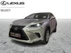 Lexus NX 300H Business Line Plus AWD 2.5 Hyb, Auto's, Automaat, 114 kW, 140 g/km, https://public.car-pass.be/vhr/293858b0-98a2-4cfb-9578-2f59d1f3f15f