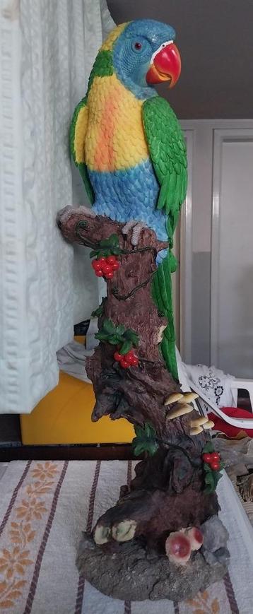 hond,kikker,krok,Franse bulldog Ara,papegaai ,,,,,,,,enz beschikbaar voor biedingen