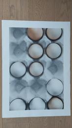 Poster Eggs in a Box, Neuf, Moins de 50 cm, 50 à 75 cm, Enlèvement